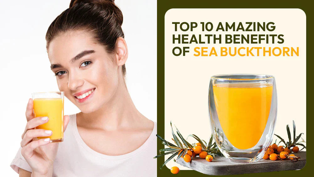 Sea Buckthorn Benefits and Uses