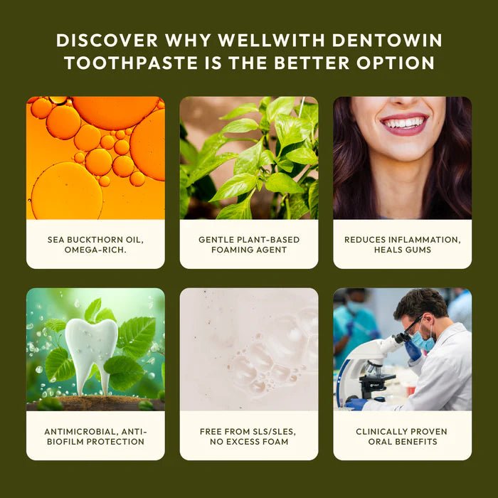 Dentowin Sea Buckthorn Herbal Toothpaste - WellWith Ayuzera