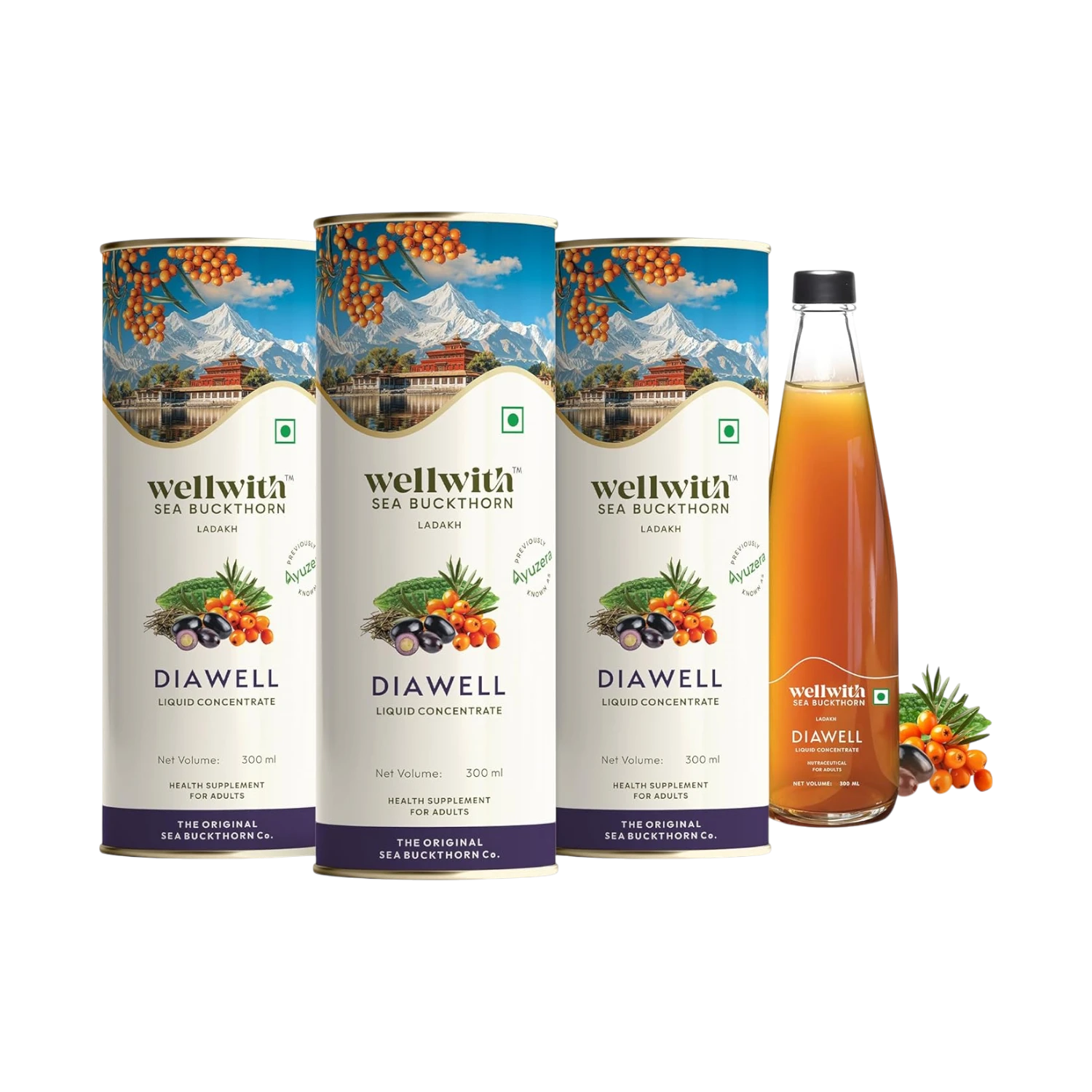 Sea Buckthorn DiaWell 300ml