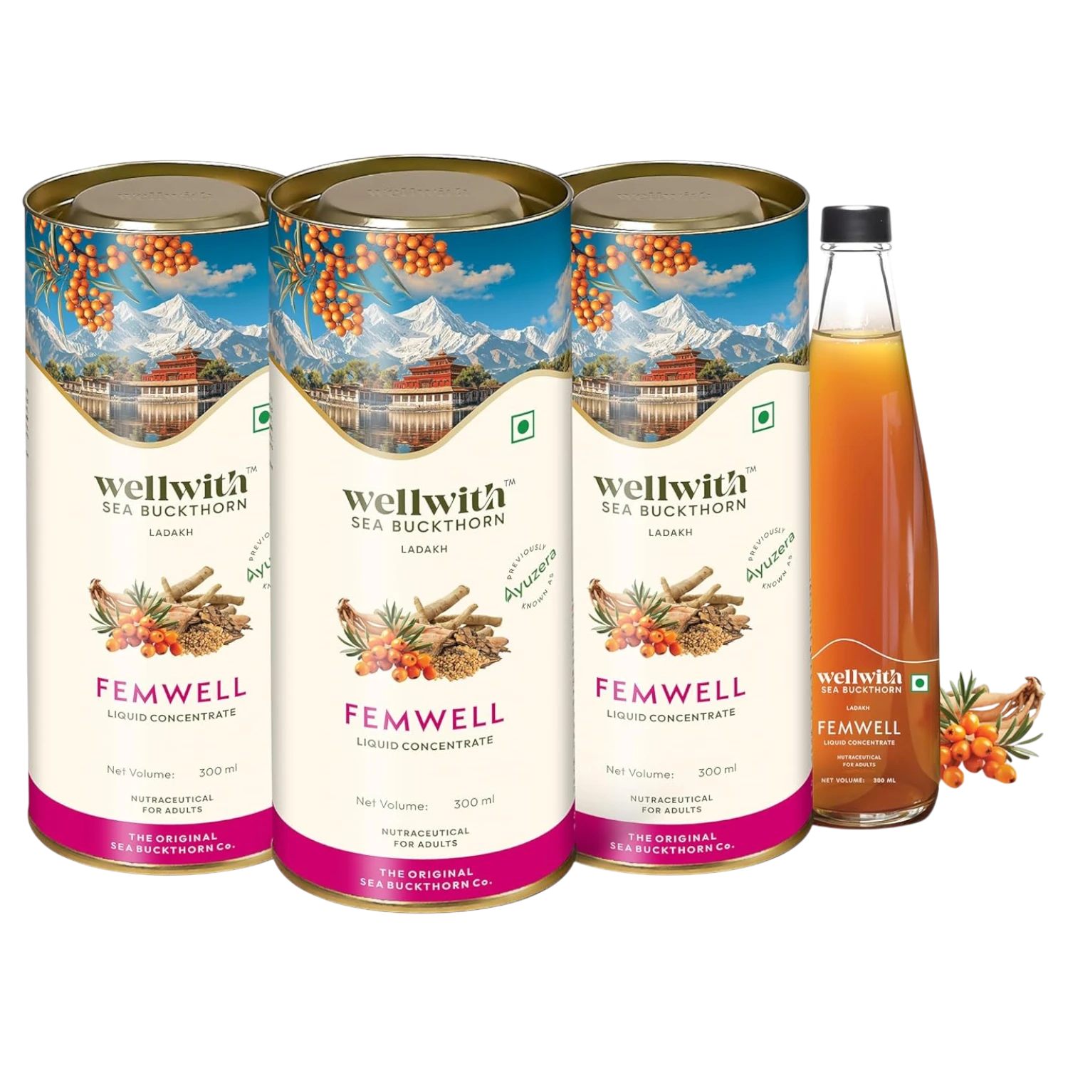 Sea Buckthorn FemWell 300ml