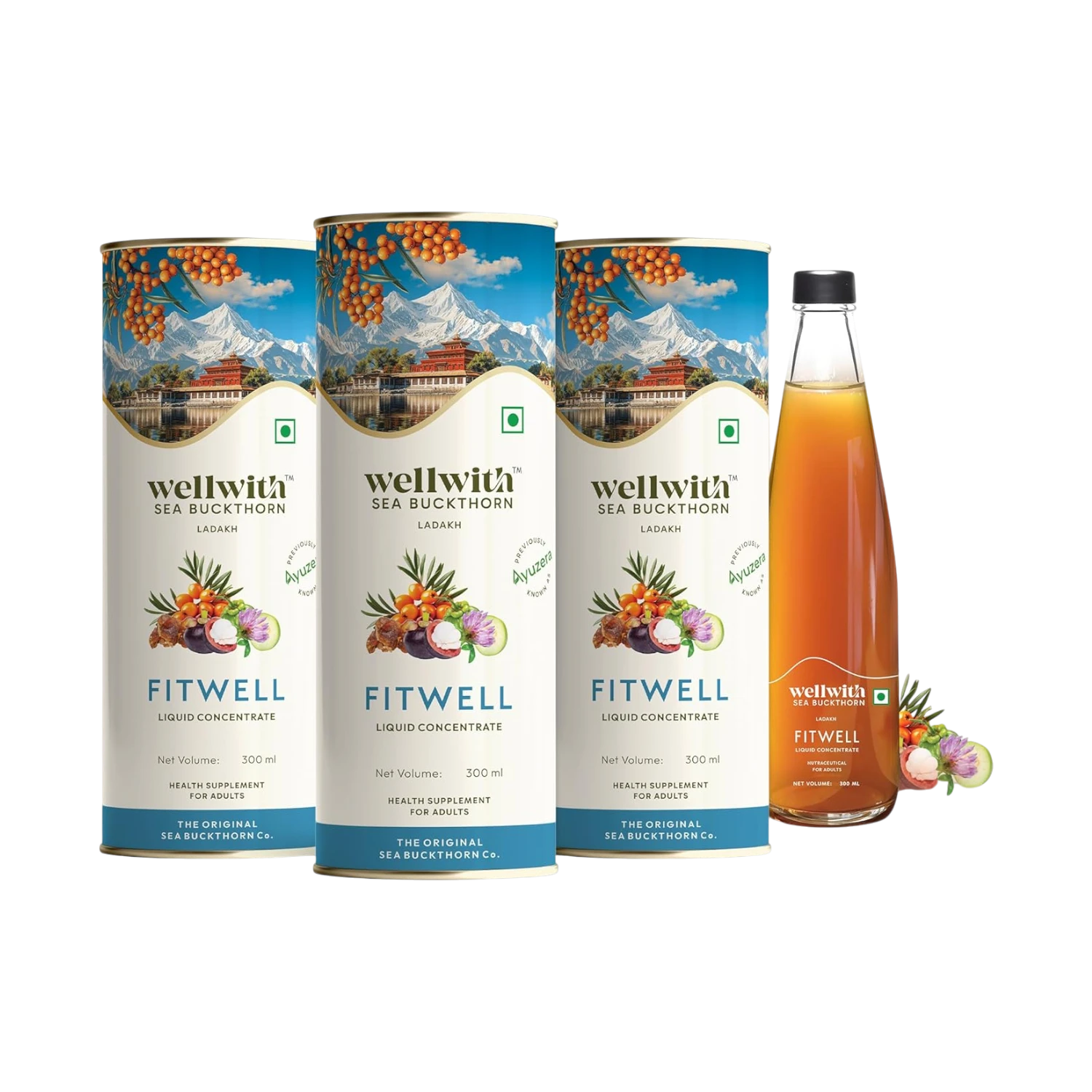 Sea Buckthorn FitWell 300ml