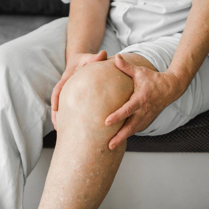 Joint Care Kit - WellWith Ayuzera