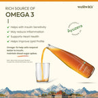 Sea Buckthorn DiaWell 300ml - WellWith Ayuzera