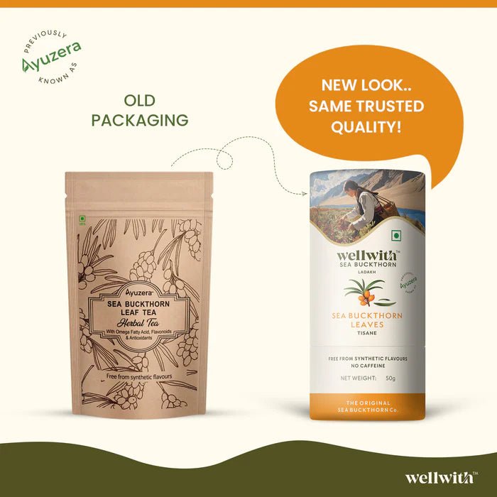 Sea Buckthorn Leaf Tea - WellWith Ayuzera